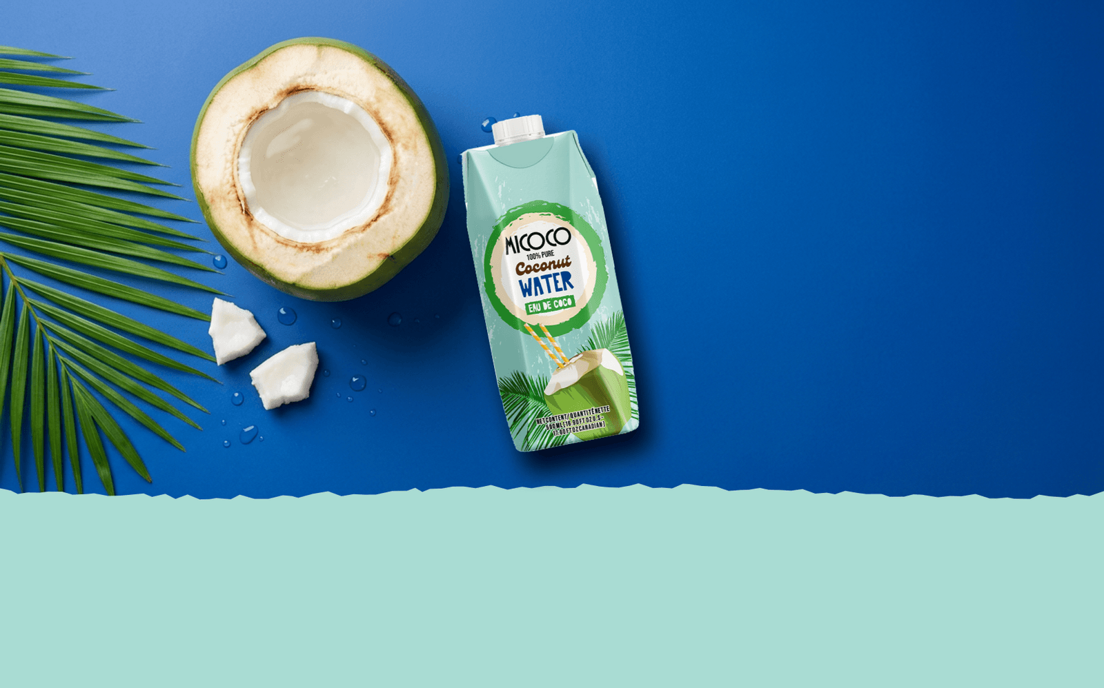 Agua de coco 100% pura MICOCO, junto a un coco abierto.